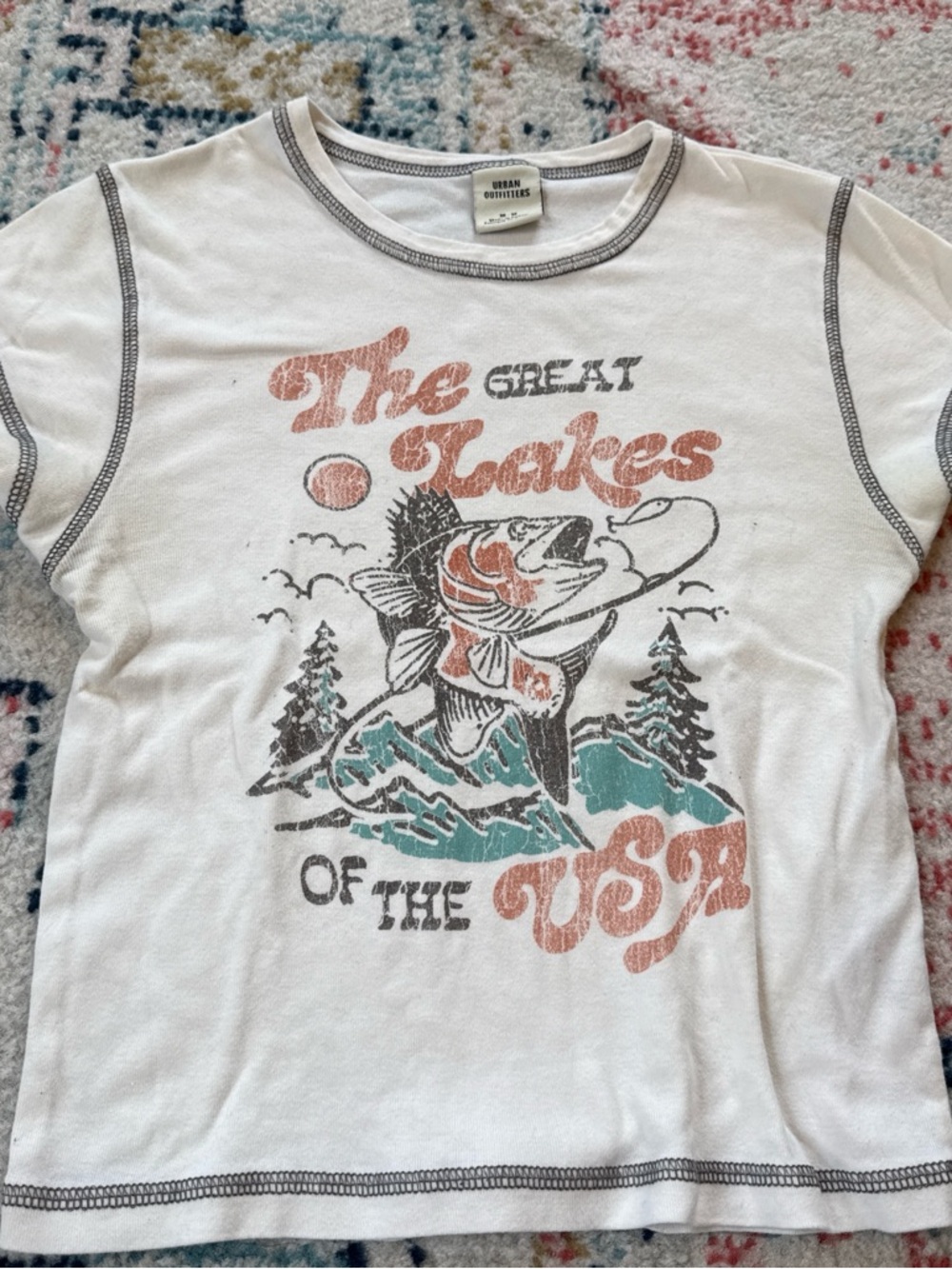 Urban Outfitters White Graphic Crop Top with Rust and Teal Print